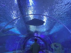 -多彩贵州城极地海洋世界