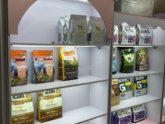 -青奢宠物·青奢猫舍