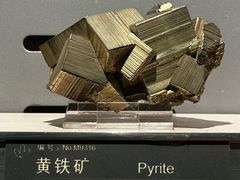 -中国地质博物馆