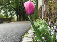 -维格兰雕塑公园