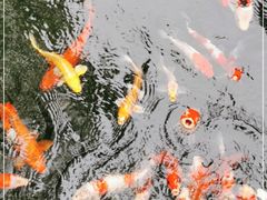 -云溪植物园