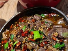 -树厨贵州菜(大十字店)