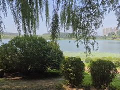 -丁香湖公园