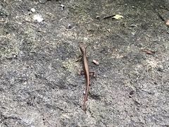 -溪口-滕头旅游景区