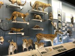 -浙江自然博物院(杭州馆)