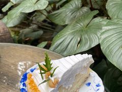 -Fern Forest Cafe