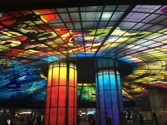 -捷运美丽岛站(The Dome of Light)