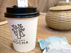 -MOCHA明星猫咖(田子坊店)