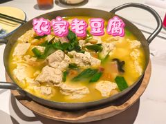 -阿露佳·舌尖上的安吉菜