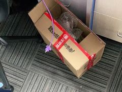 -新航道雅思托福·留学·考研培训(人民广场校区)
