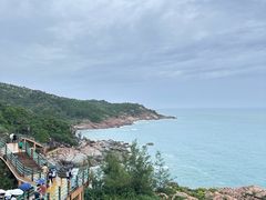-广东惠东海龟国家级自然保护区