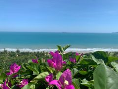 -三亚湾海居铂尔曼度假酒店