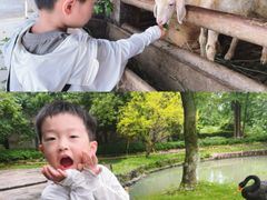 -乌村