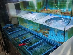 水产区-老东镇啤酒屋海鲜加工·蒸汽海鲜·海鲜烧烤(台东店)