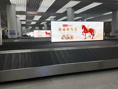 -青岛胶东国际机场