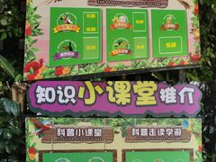 -广州长隆飞鸟乐园