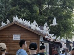 -天津妈祖文化园