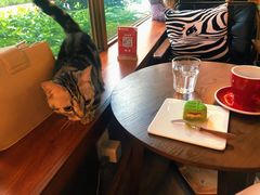 -咖法森林·咖啡  酒吧(天河店)