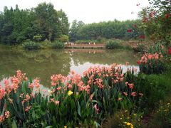 -桤木河湿地公园