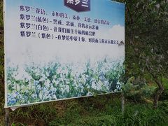 -广州市流溪河国家森林公园