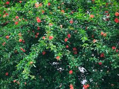 -同济大学四平路校区游泳馆