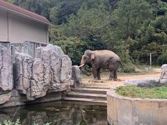 -宁波野生动物园