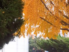 -大连人民广场