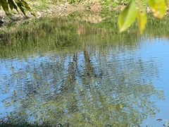 -良渚古城遗址公园