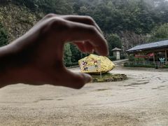 -遂昌金矿国家矿山公园