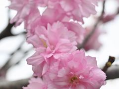 -观澜湖生态运动公社