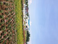 iphone_upload_pic-广州花之恋城堡酒店