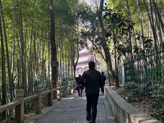 -灵岩山风景区