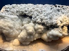 -贵州省地质博物馆