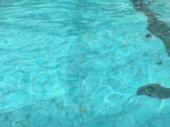 -远航游泳竞技馆(卫星广场店)