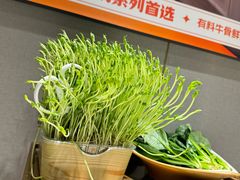 -海底捞火锅(正大乐城店)