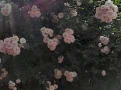 -茗香阁自助烧烤(倒湾古镇店)