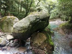-西岭雪山大飞水景区