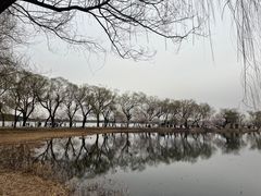 -颐和园