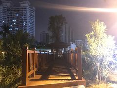 -金鸡岭桥头公园