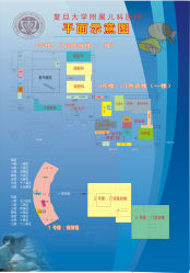 -复旦大学附属儿科医院