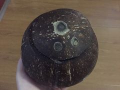 -志龙皇冠吃货椰子铺