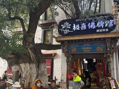 -古树酸奶(八廓南街店)
