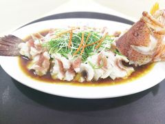 七星斑-钱塘府海鲜餐厅