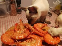 -南沙十九涌渔人码头-南门