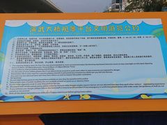 -演武大桥观景平台