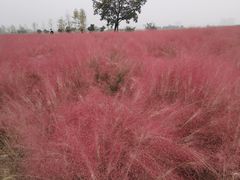 -汉长安城未央宫国家考古遗址公园