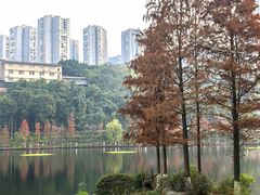 -重庆彩云湖湿地公园