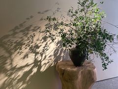 -隐溪茶馆(静安寺店)