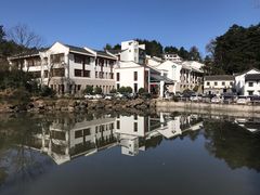 -九华山聚龙大酒店