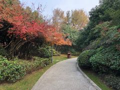 -桃花岛景观公园